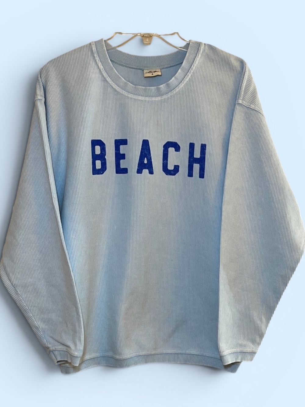 Oat Collective Baby Blue Beach Sweatshirt Size Small